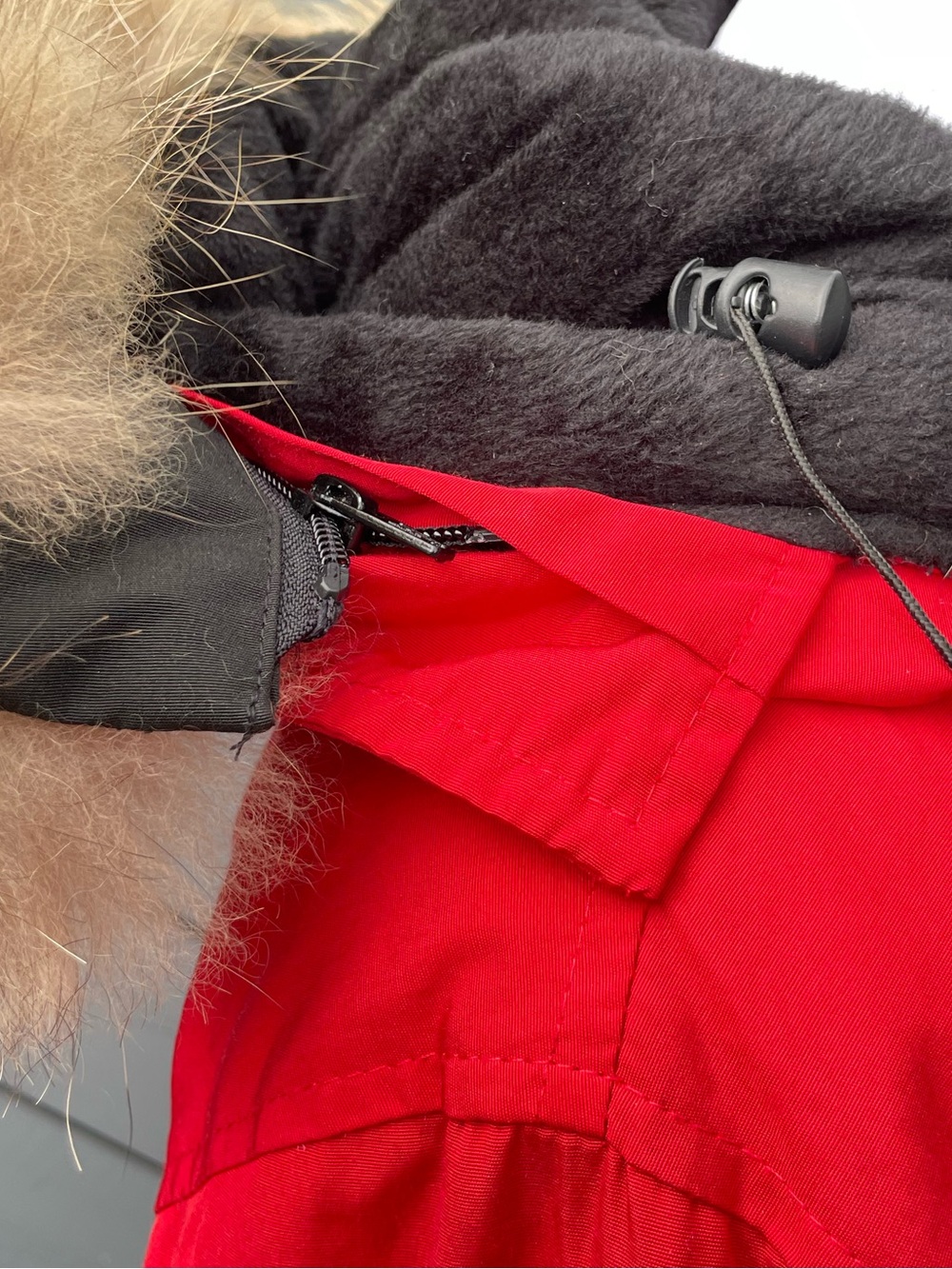 Canada Goose Red Parka with Fur-Trimmed Hood Size Large - Picture 9 of 14